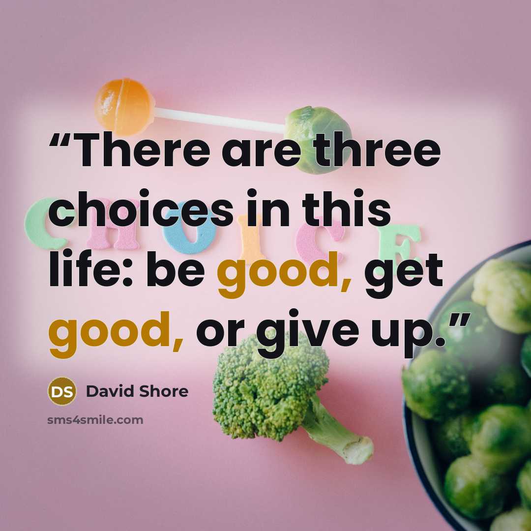 “There are three choices in this life: be good, get good, or give up.” quote by David Shore