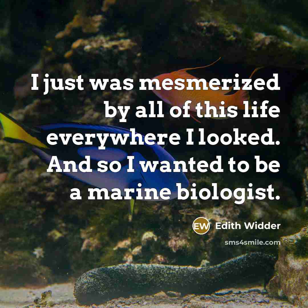 “I just was mesmerized by all of this life everywhere…” quote by Edith Widder