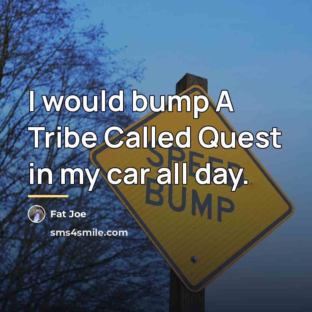 “I would bump A Tribe Called Quest in my car…” quote by Fat Joe