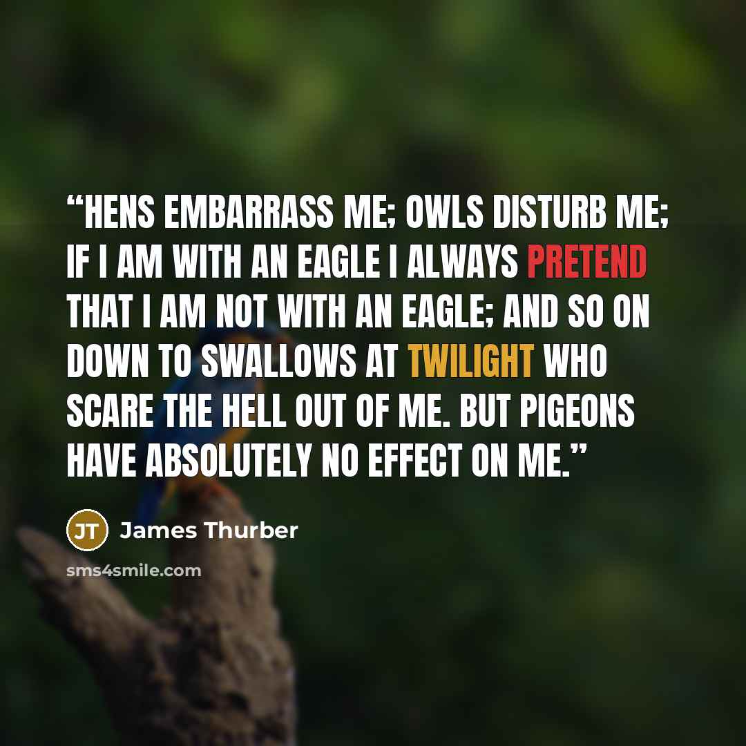 “Hens embarrass me; owls disturb me; if I am with an eagle I always pretend that I am not with an eagle; and so on down to swallows at twilight who scare the hell out of me. But pigeons have absolutely no effect on me.” quote by James Thurber