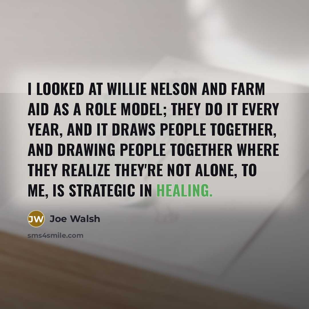“I looked at Willie Nelson and Farm Aid as a…” quote by Joe Walsh