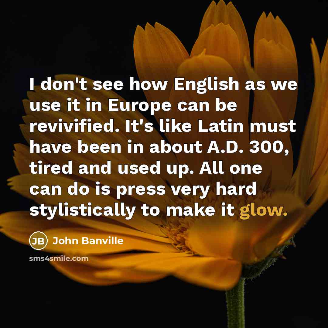 “I don't see how English as we use it in…” quote by John Banville