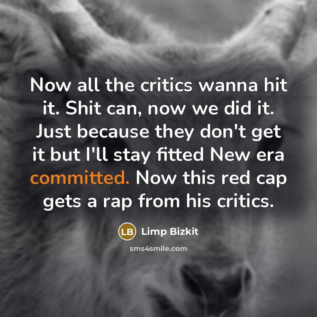 “Now all the critics wanna hit it. Shit can, now…” quote by Limp Bizkit
