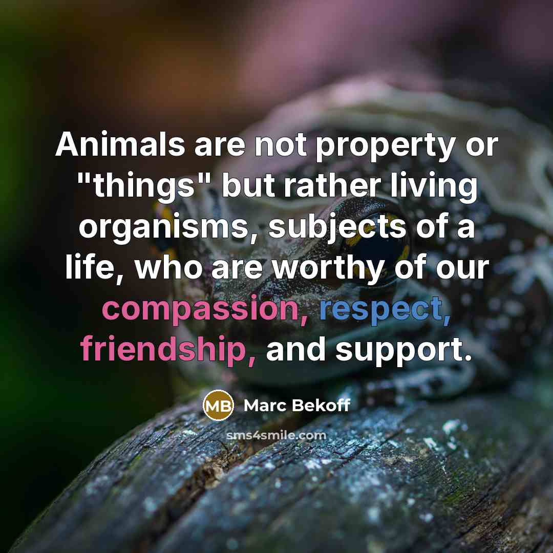 “Animals are not property or "things" but rather living organisms,…” quote by Marc Bekoff
