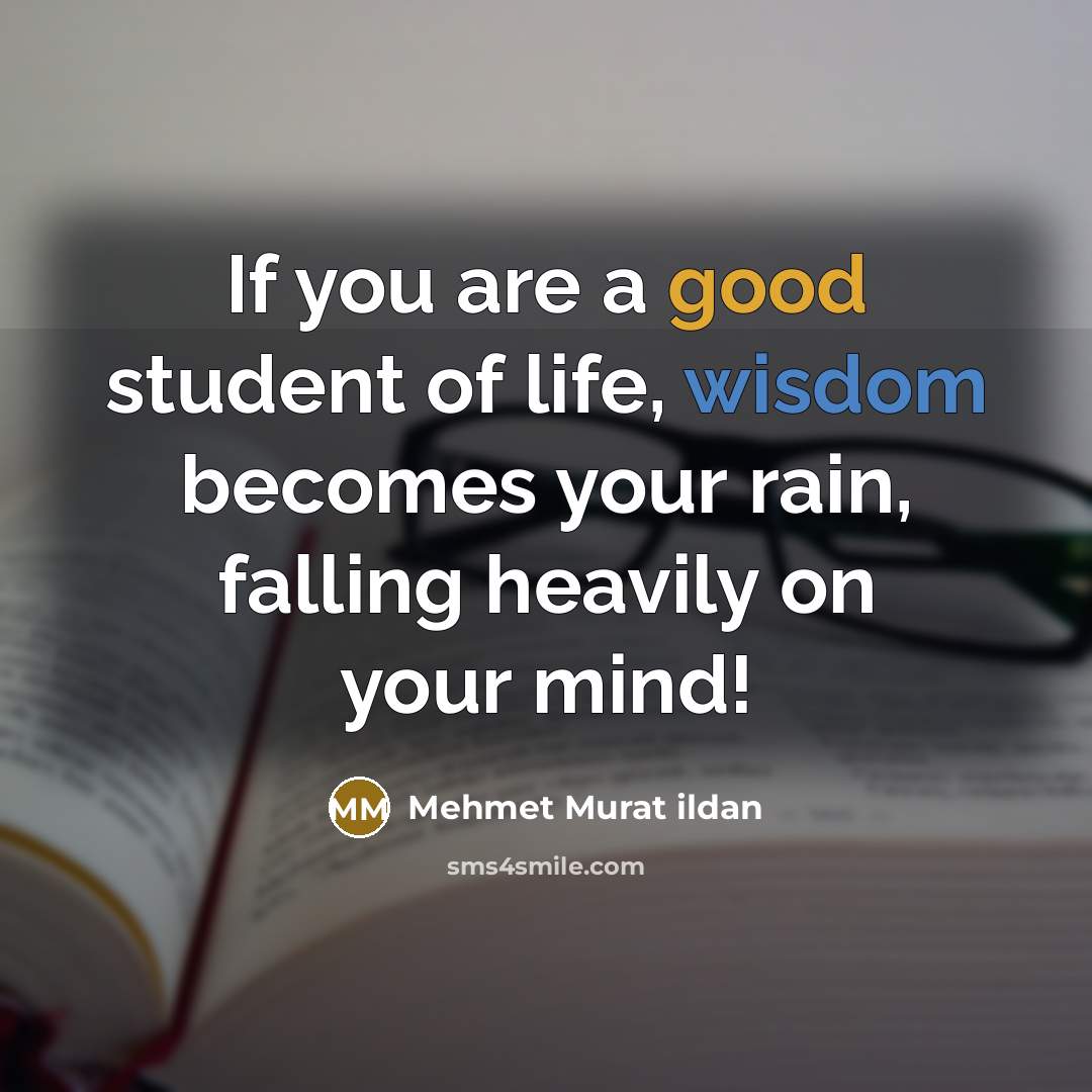 “If you are a good student of life, wisdom becomes…” quote by Mehmet Murat Ildan