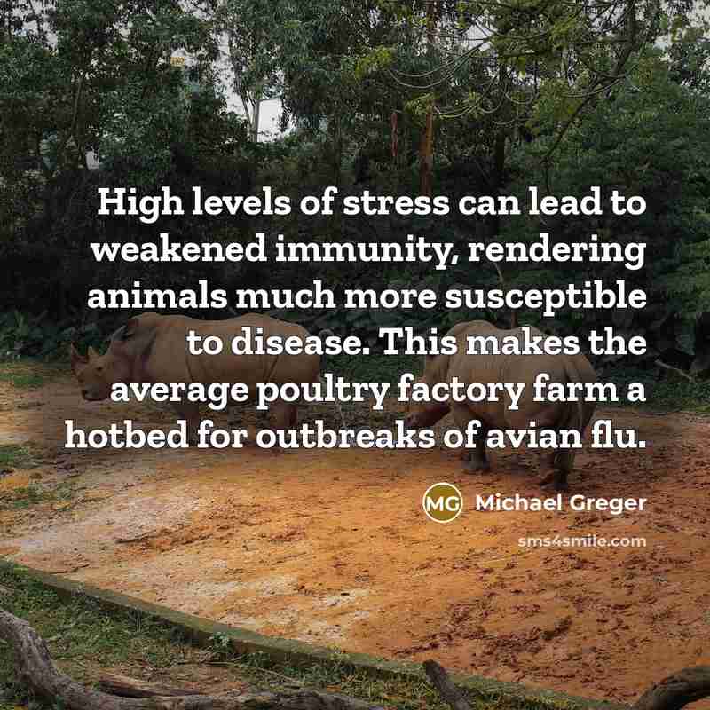 “High levels of stress can lead to weakened immunity, rendering…” quote by Michael Greger