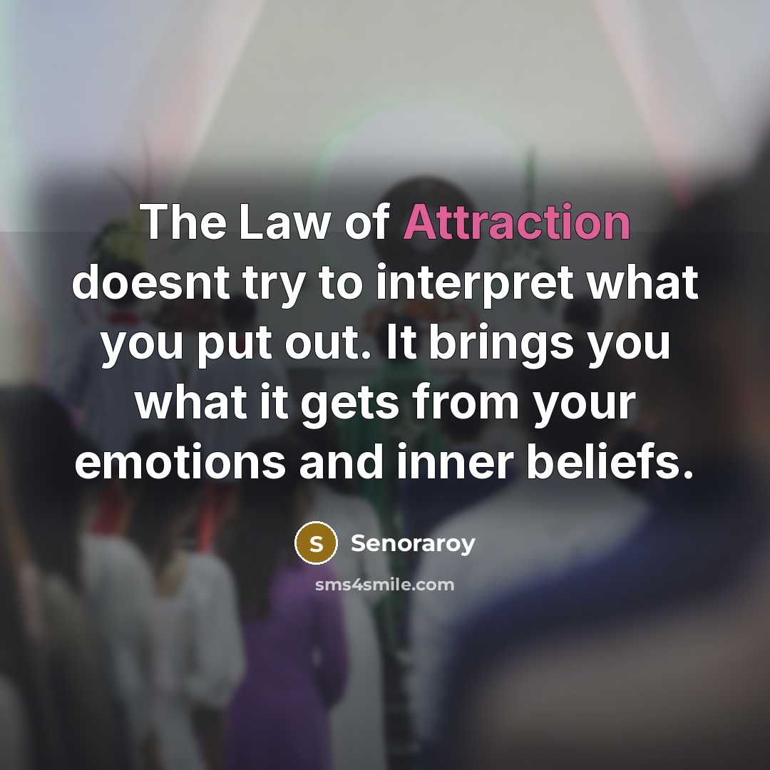 “The Law of Attraction doesnt try to interpret what you…” quote by Senoraroy