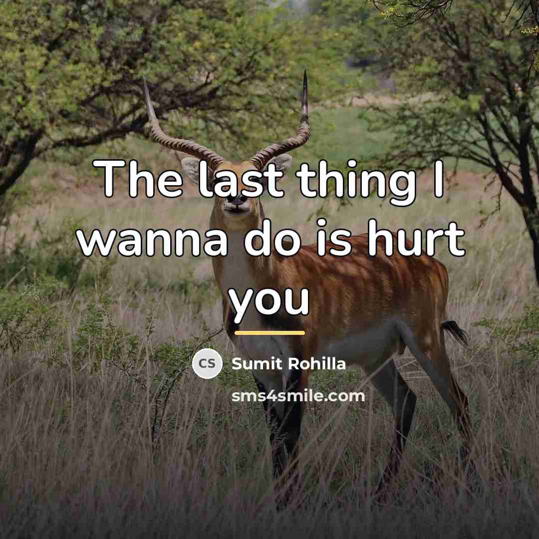 “The last thing I wanna do is hurt you…” quote by Sumit Rohilla