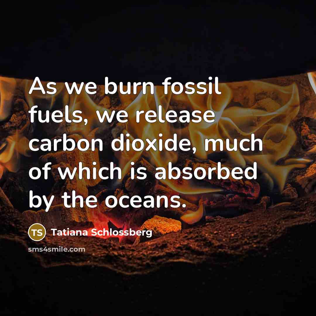 “As we burn fossil fuels, we release carbon dioxide, much…” quote by Tatiana Schlossberg