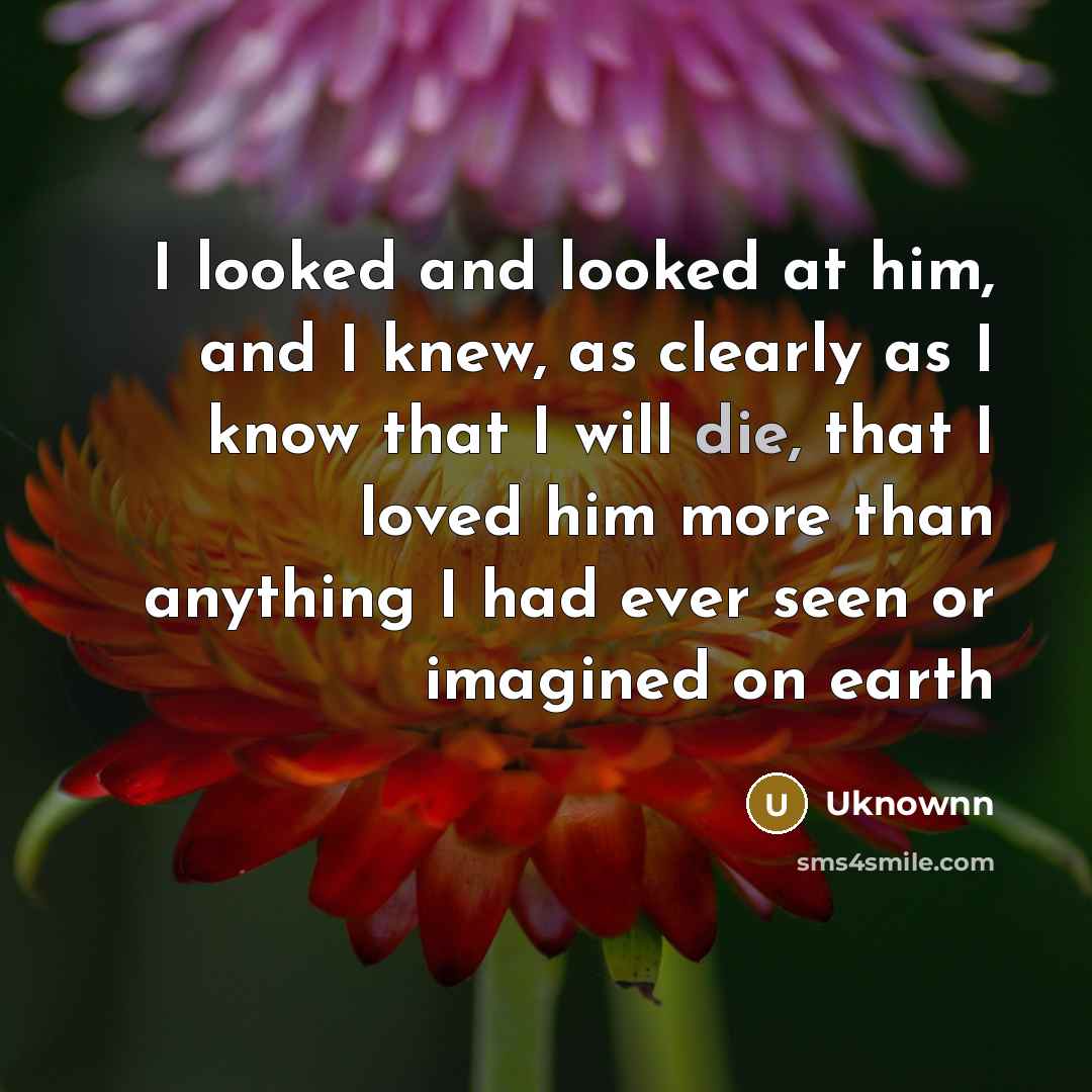“I looked and looked at him, and I knew, as…” quote by Uknownn