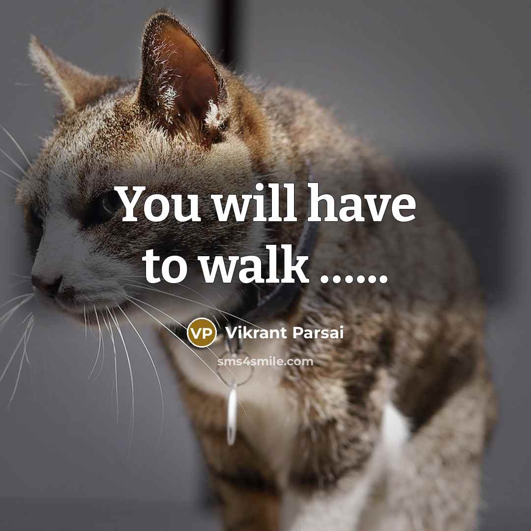 “You will have to walk …...” quote by Vikrant Parsai