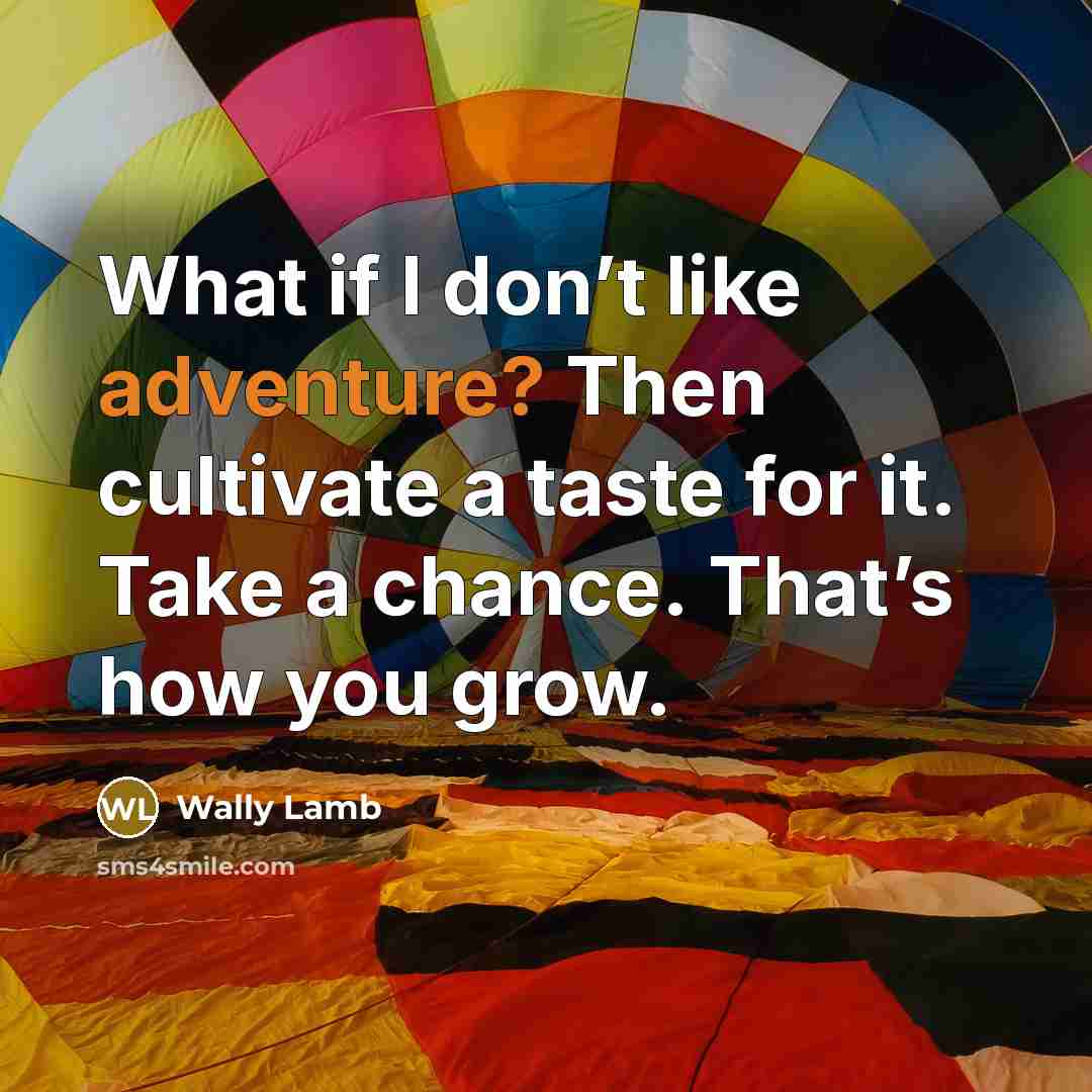 “What if I don’t like adventure? Then cultivate a taste…” quote by Wally Lamb