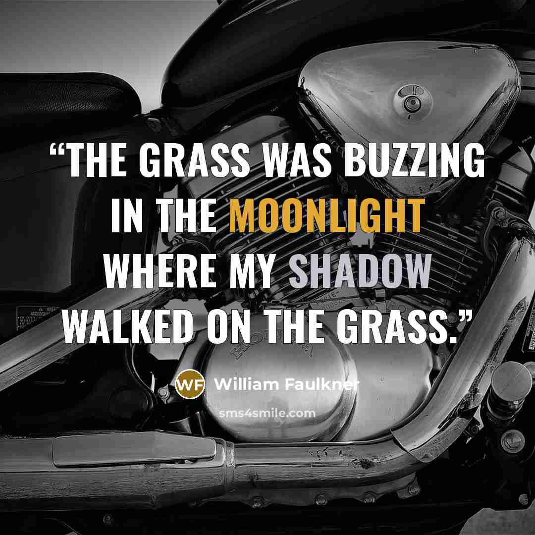 “The grass was buzzing in the moonlight where my shadow walked on the grass.” quote by William Faulkner