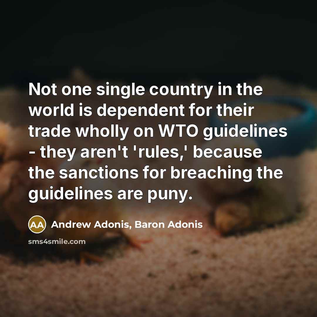 “Not one single country in the world is dependent for…” quote by Andrew Adonis, Baron Adonis