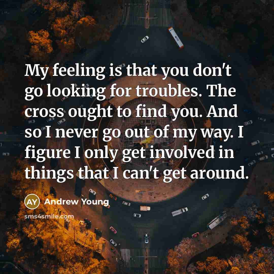 “My feeling is that you don't go looking for troubles.…” quote by Andrew Young