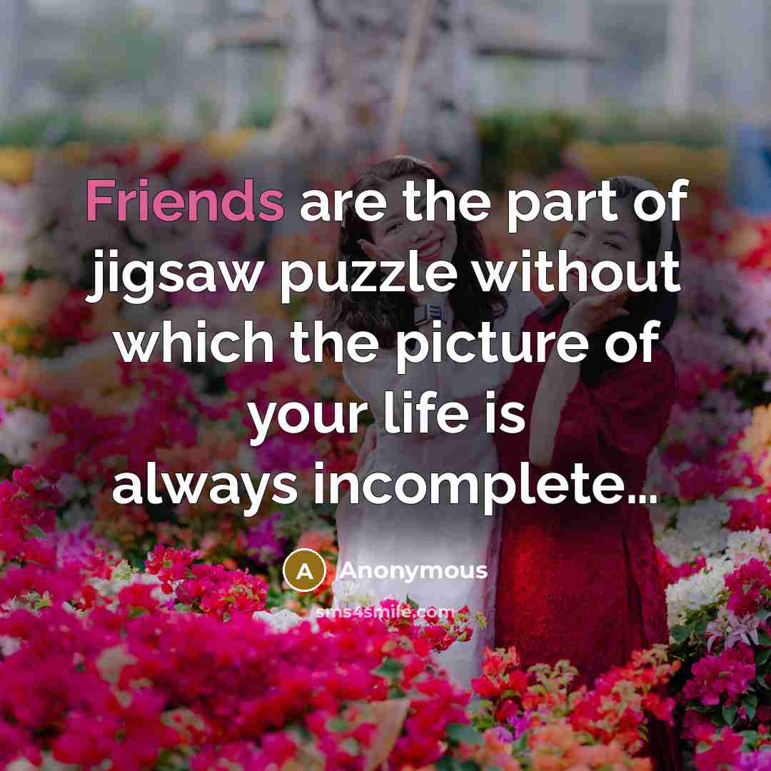 “Friends are the part of jigsaw puzzle without which the picture of your life is always incomplete…” quote by Anonymous