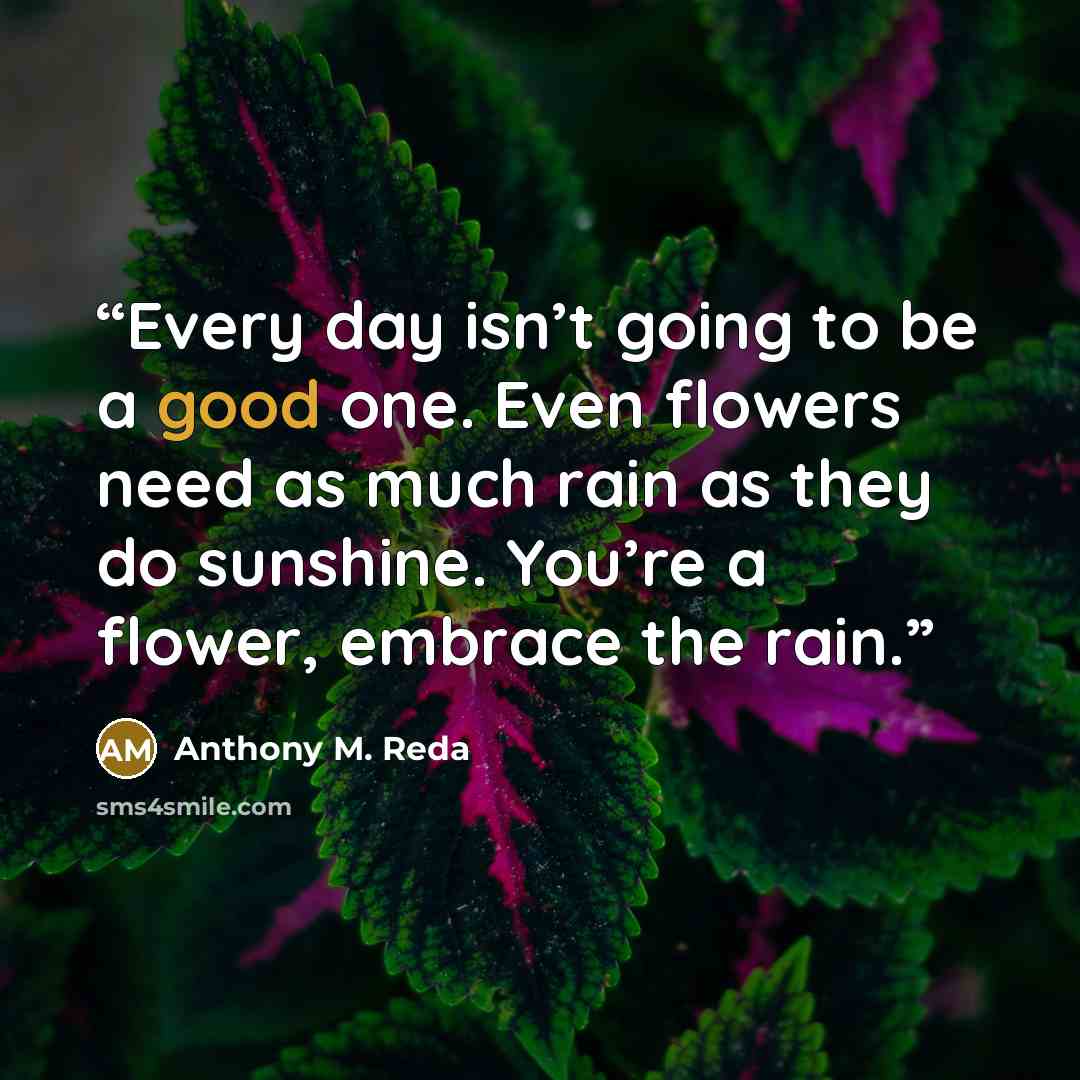 “Every day isn’t going to be a good one. Even flowers need as much rain as they do sunshine. You’re a flower, embrace the rain.” quote by Anthony M. Reda