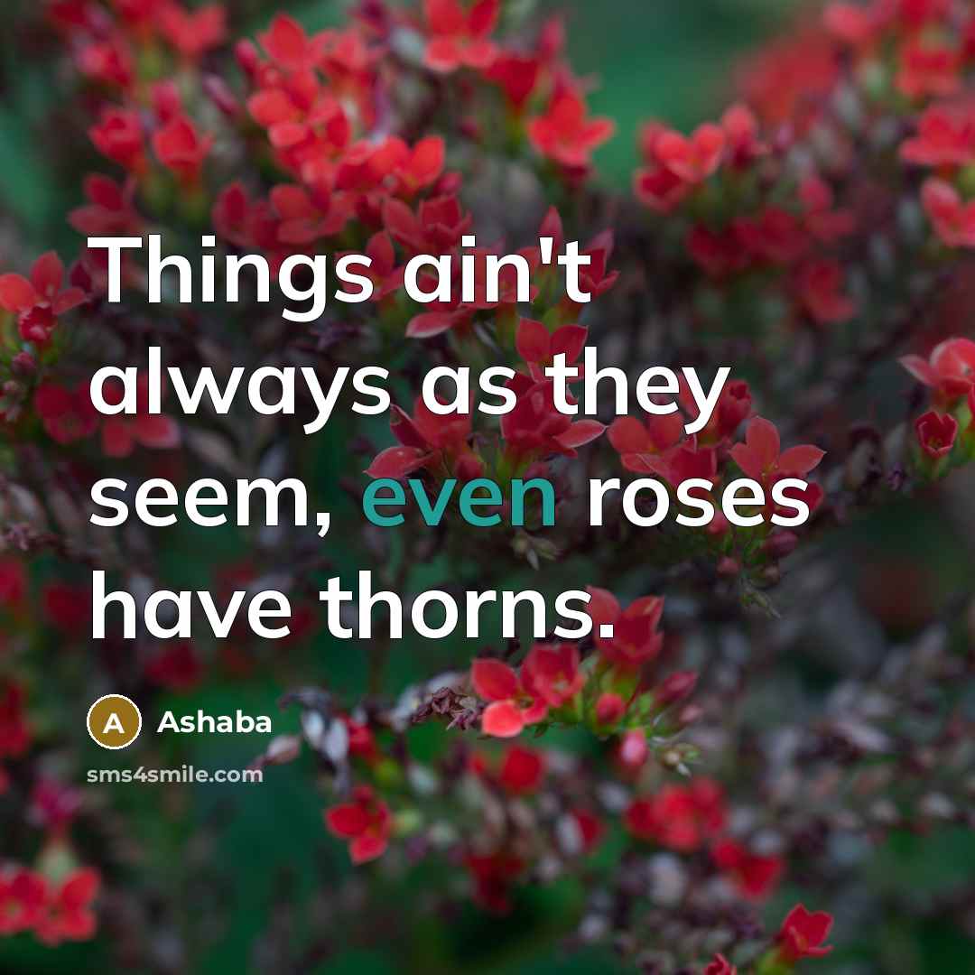 “Things ain't always as they seem, even roses have thorns.…” quote by Ashaba