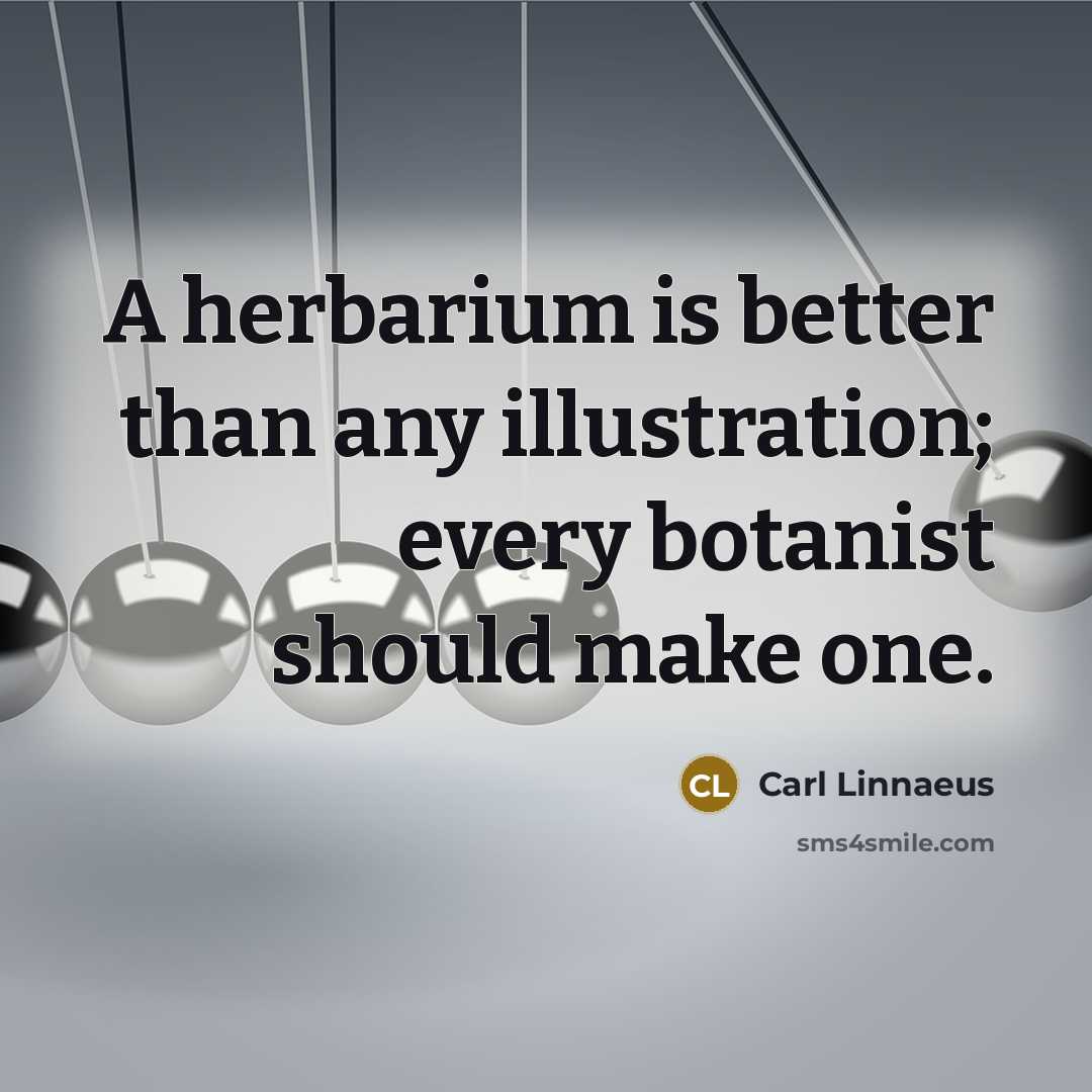 “A herbarium is better than any illustration; every botanist should…” quote by Carl Linnaeus