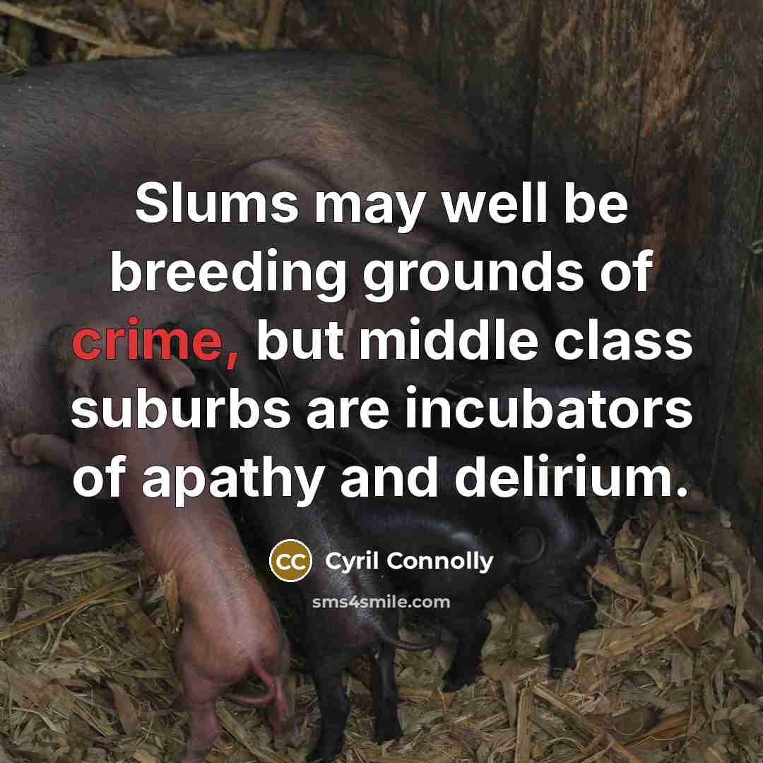 “Slums may well be breeding grounds of crime, but middle…” quote by Cyril Connolly