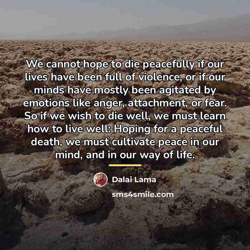“We cannot hope to die peacefully if our lives have…” quote by Dalai Lama
