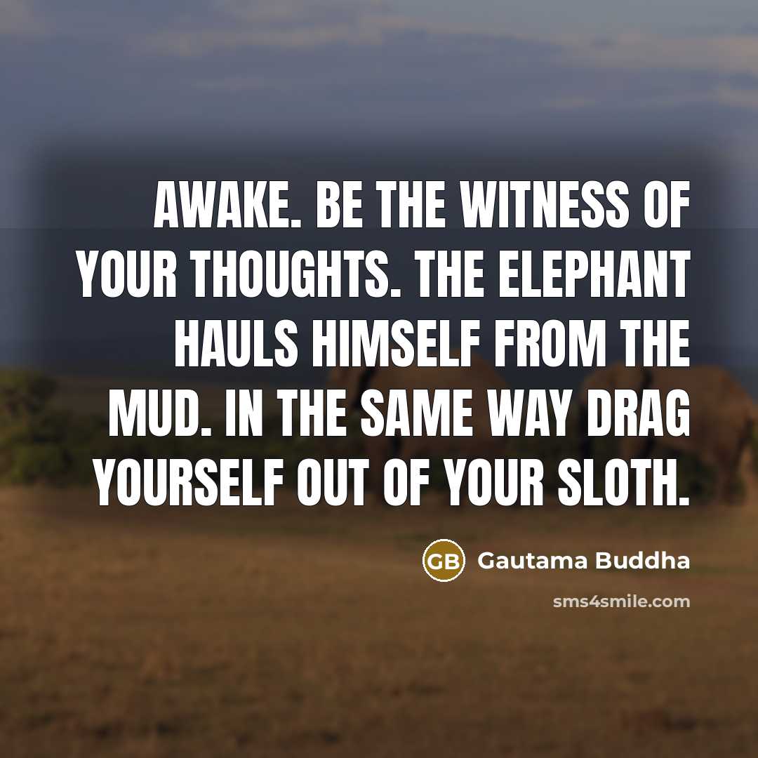 “Awake. Be the witness of your thoughts. The elephant hauls…” quote by Gautama Buddha