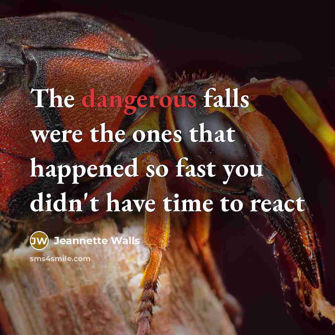 “The dangerous falls were the ones that happened so fast…” quote by Jeannette Walls