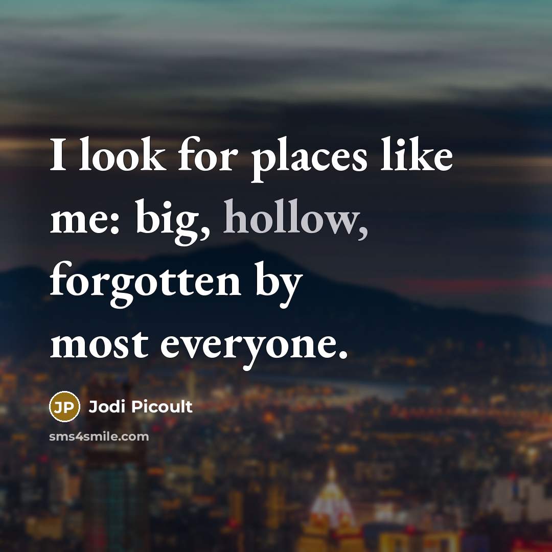 “I look for places like me: big, hollow, forgotten by…” quote by Jodi Picoult
