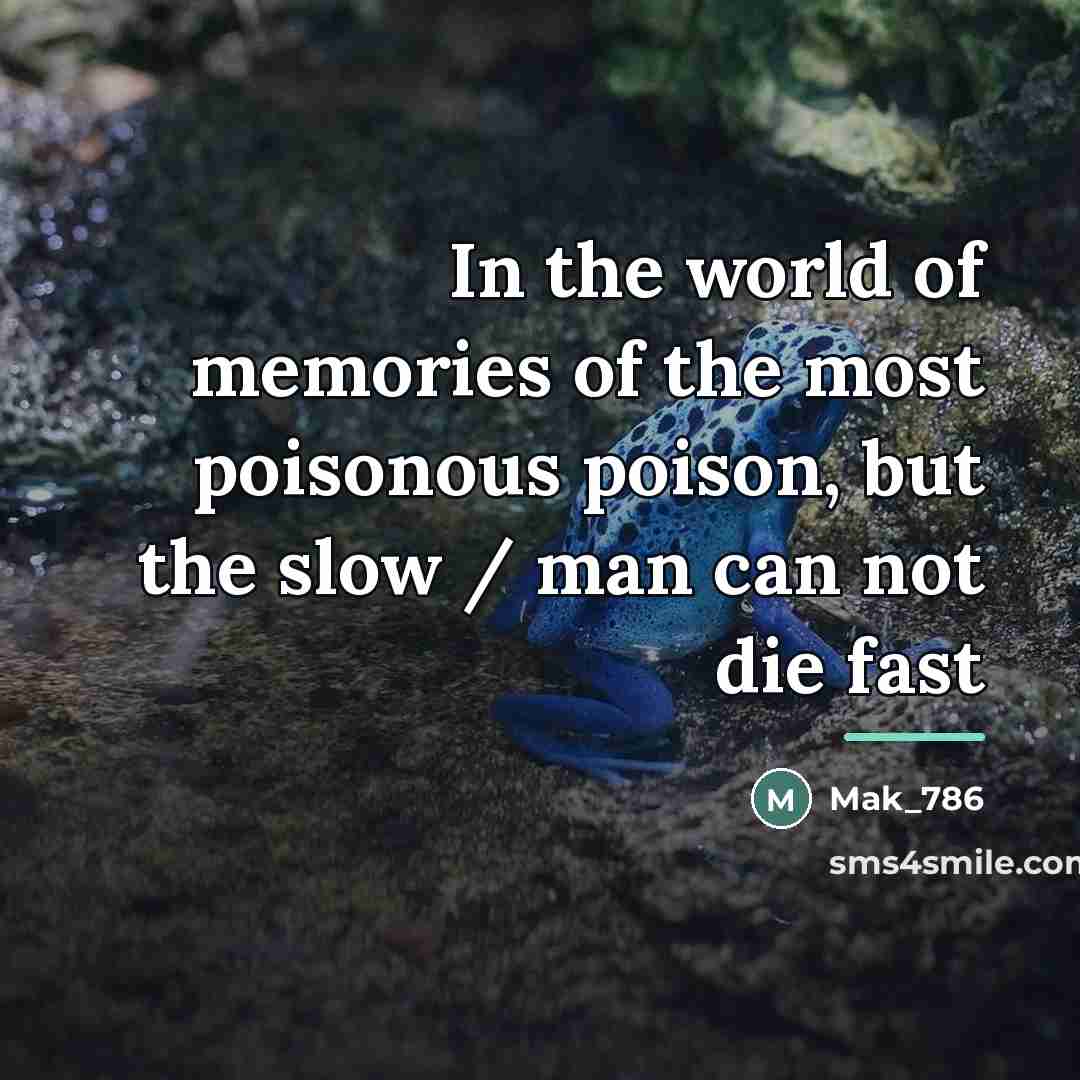 “In the world of memories of the most poisonous poison,…” quote by Mak_786