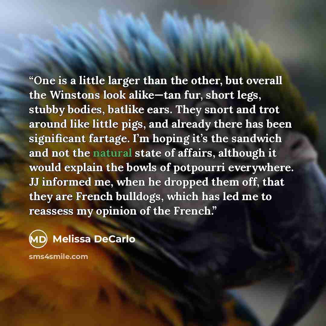 “One is a little larger than the other, but overall the Winstons look alike—tan fur, short legs, stubby bodies, batlike ears. They snort and trot around like little pigs, and already there has been significant fartage. I’m hoping it’s the sandwich and not the natural state of affairs, although it…” quote by Melissa DeCarlo