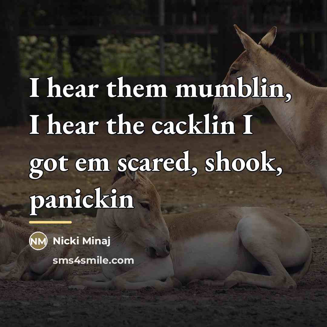 “I hear them mumblin, I hear the cacklin I got…” quote by Nicki Minaj