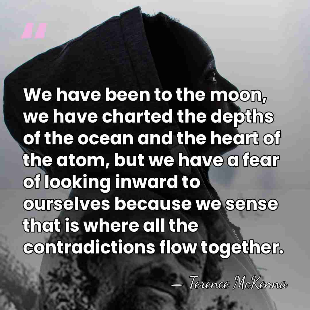 We have been to the moon, we have charted the depths of&hellip; - Terence McKenna