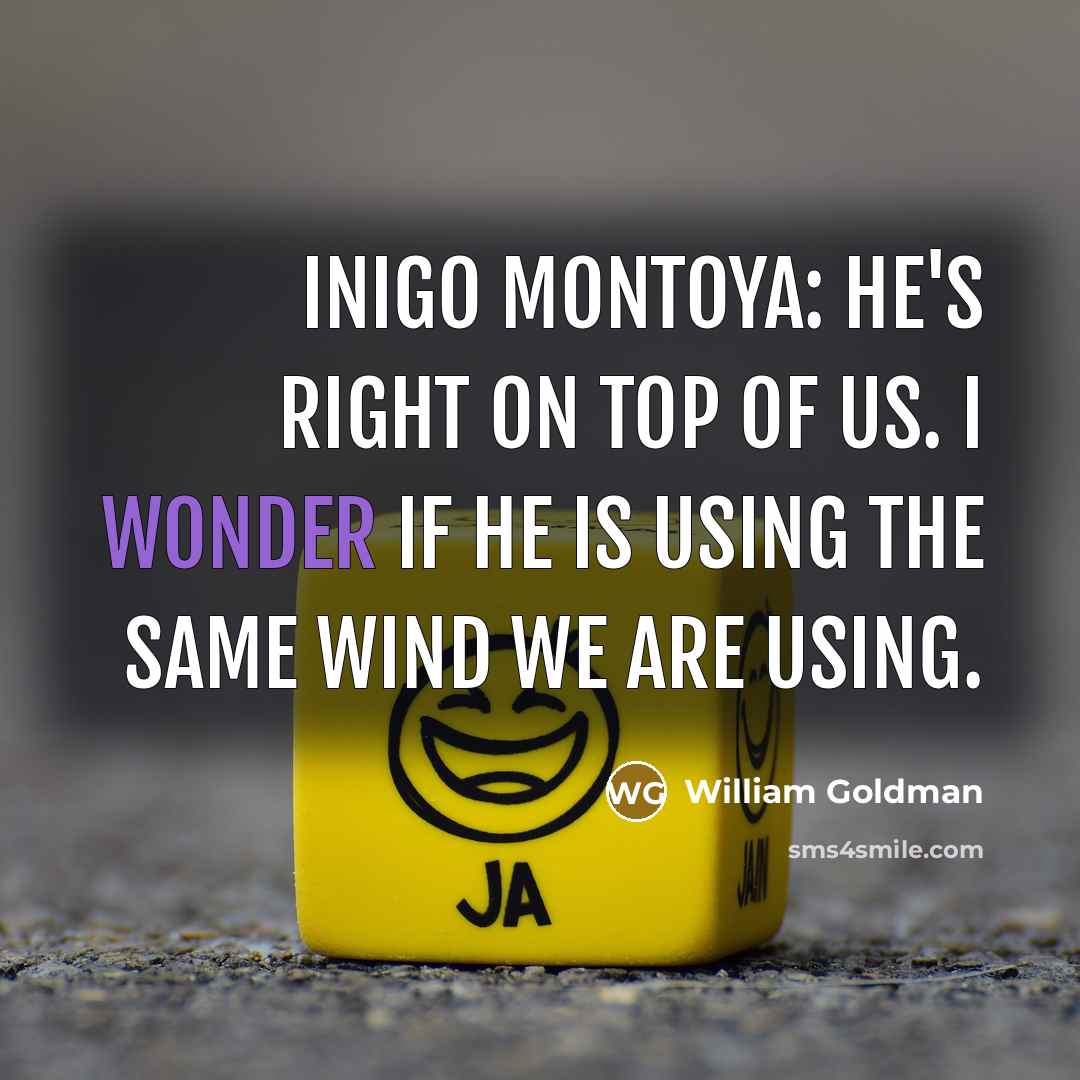 “Inigo Montoya: He's right on top of us. I wonder…” quote by William Goldman