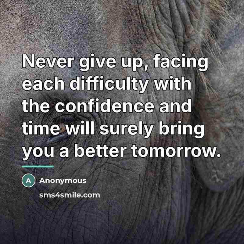 “Never give up, facing each difficulty with the confidence and…” quote by Anonymous