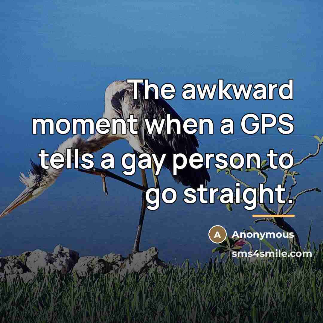 “The awkward moment when a GPS tells a gay person…” quote by Theo B