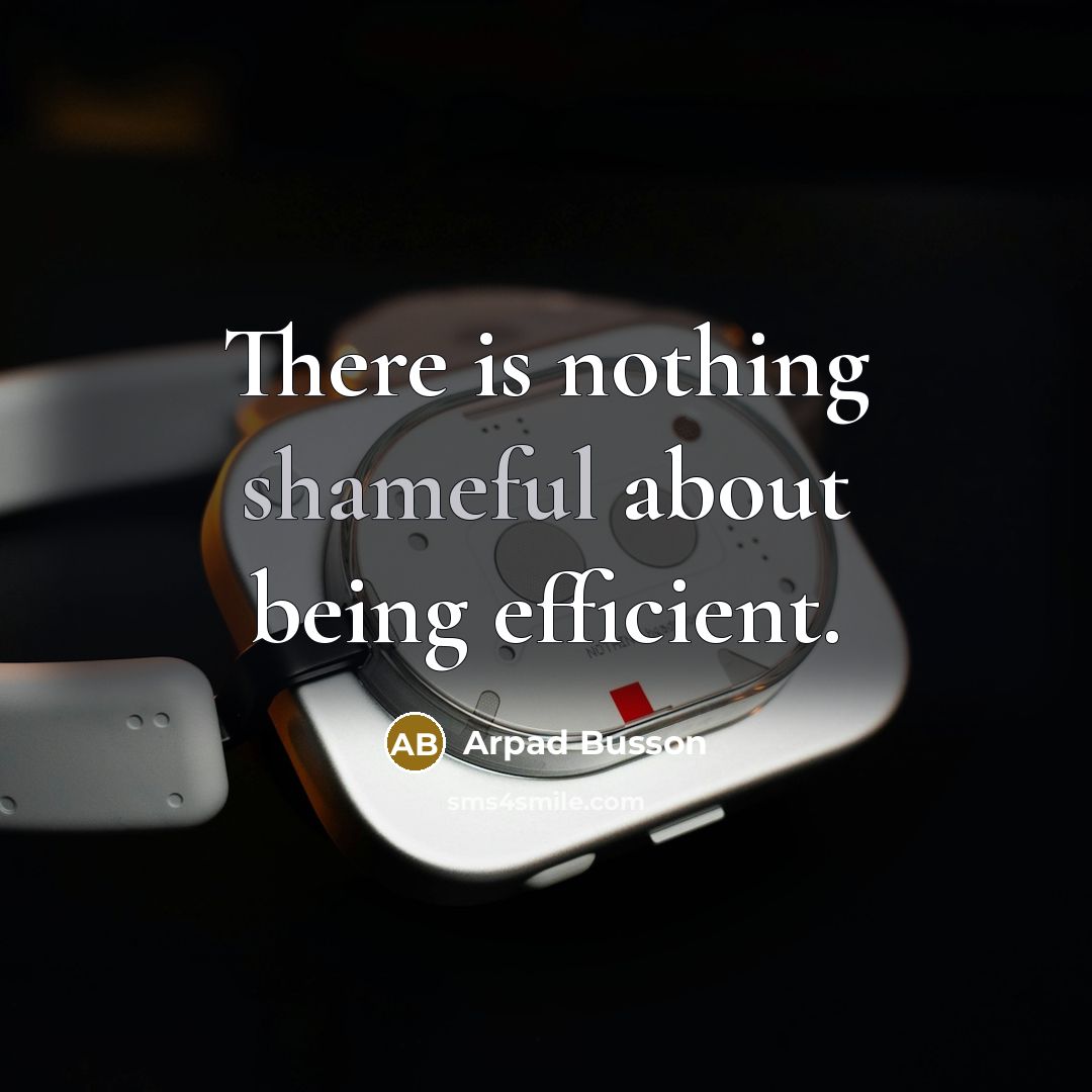 “There is nothing shameful about being efficient.…” quote by Arpad Busson