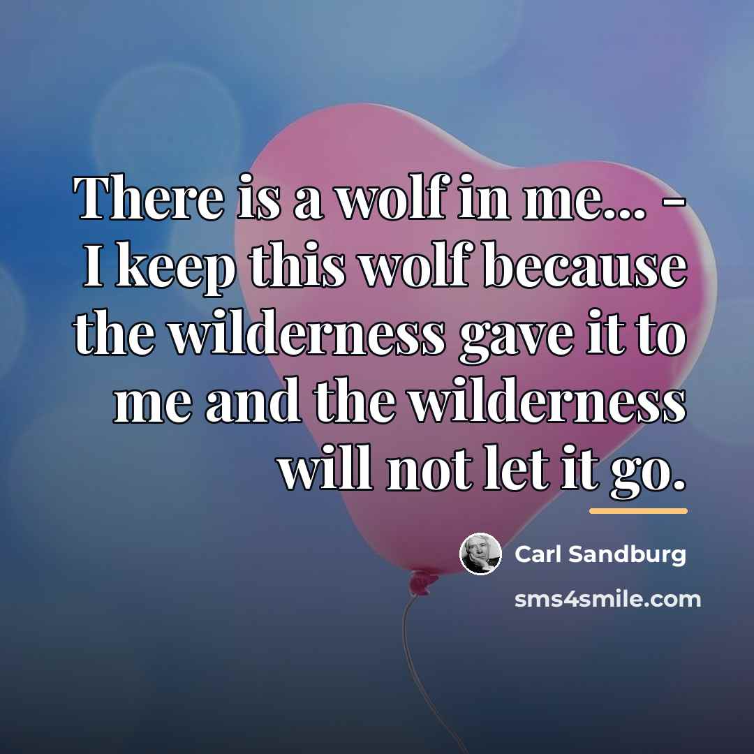 “There is a wolf in me... - I keep this…” quote by Carl Sandburg