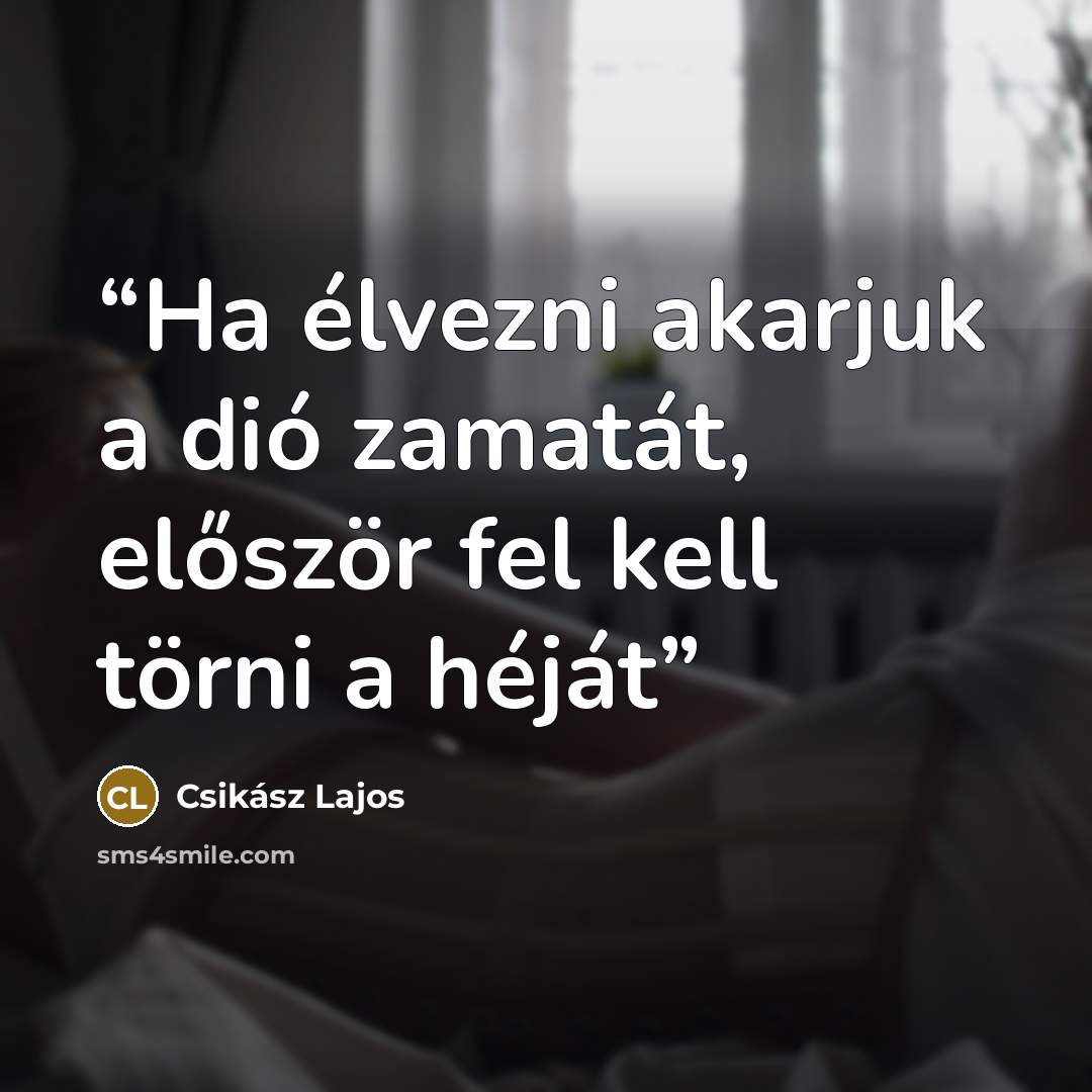 “Ha élvezni akarjuk a dió zamatát, először fel kell törni a héját” quote by Csikász Lajos