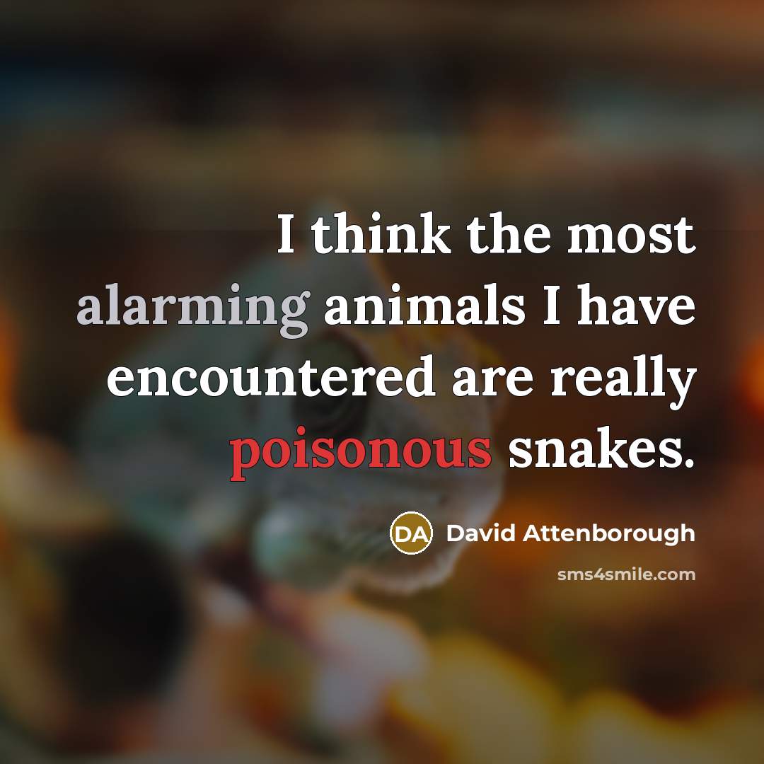 “I think the most alarming animals I have encountered are really poisonous snakes.” quote by David Attenborough