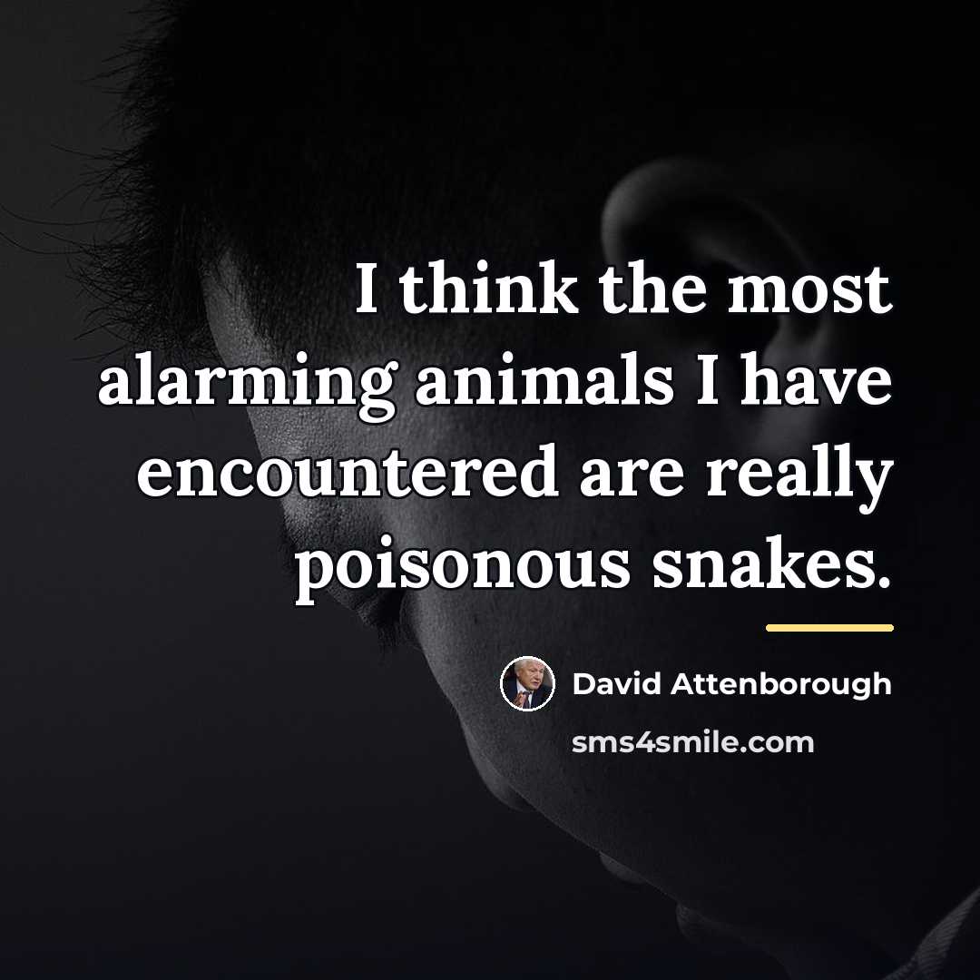 “I think the most alarming animals I have encountered are…” quote by David Attenborough