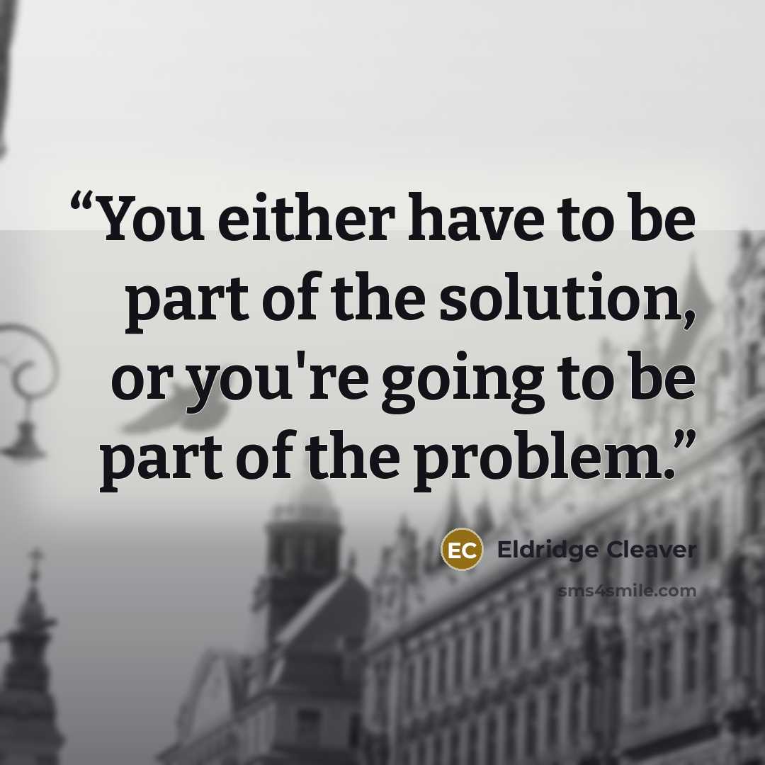“You either have to be part of the solution, or you're going to be part of the problem.” quote by Eldridge Cleaver