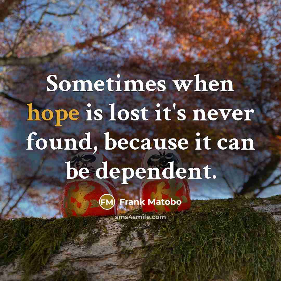 “Sometimes when hope is lost it's never found, because it…” quote by Frank Matobo