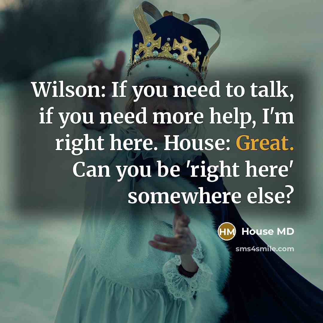 “Wilson: If you need to talk, if you need more…” quote by House MD