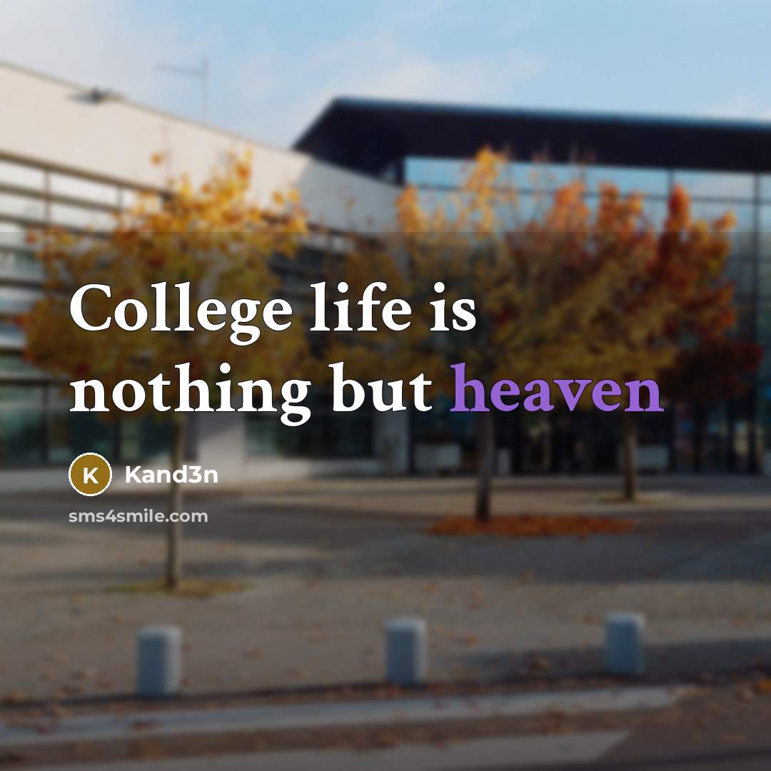 “College life is nothing but heaven…” quote by Kand3n
