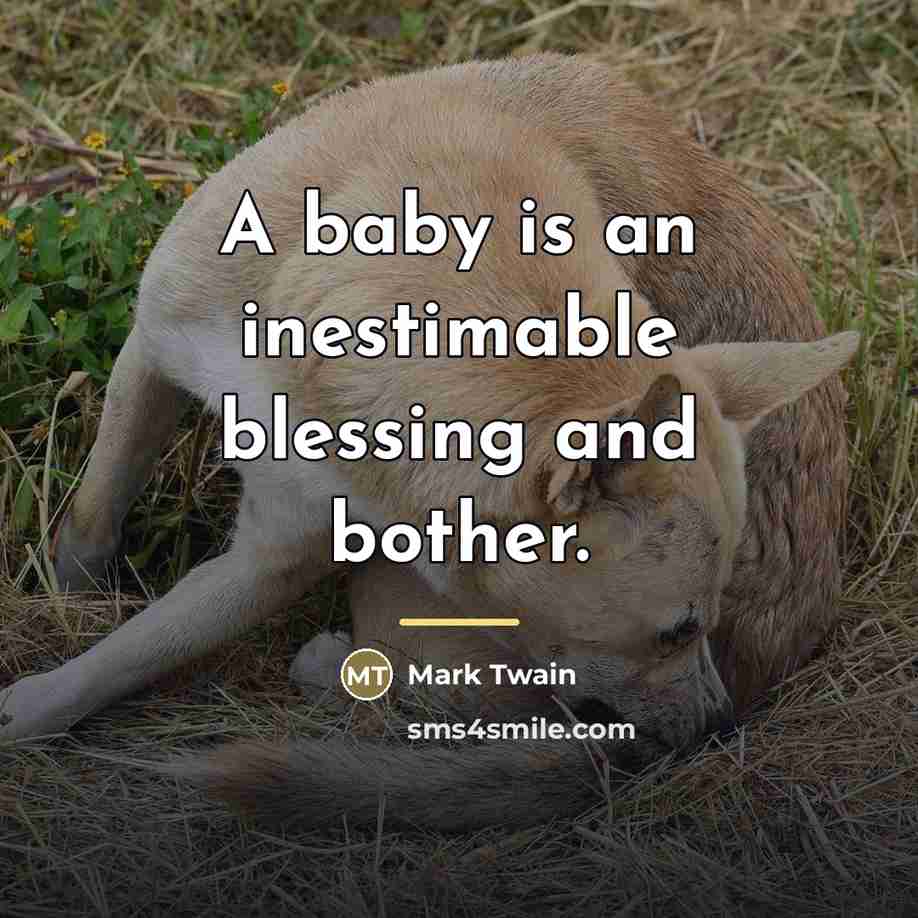 “A baby is an inestimable blessing and bother.…” quote by Mark Twain