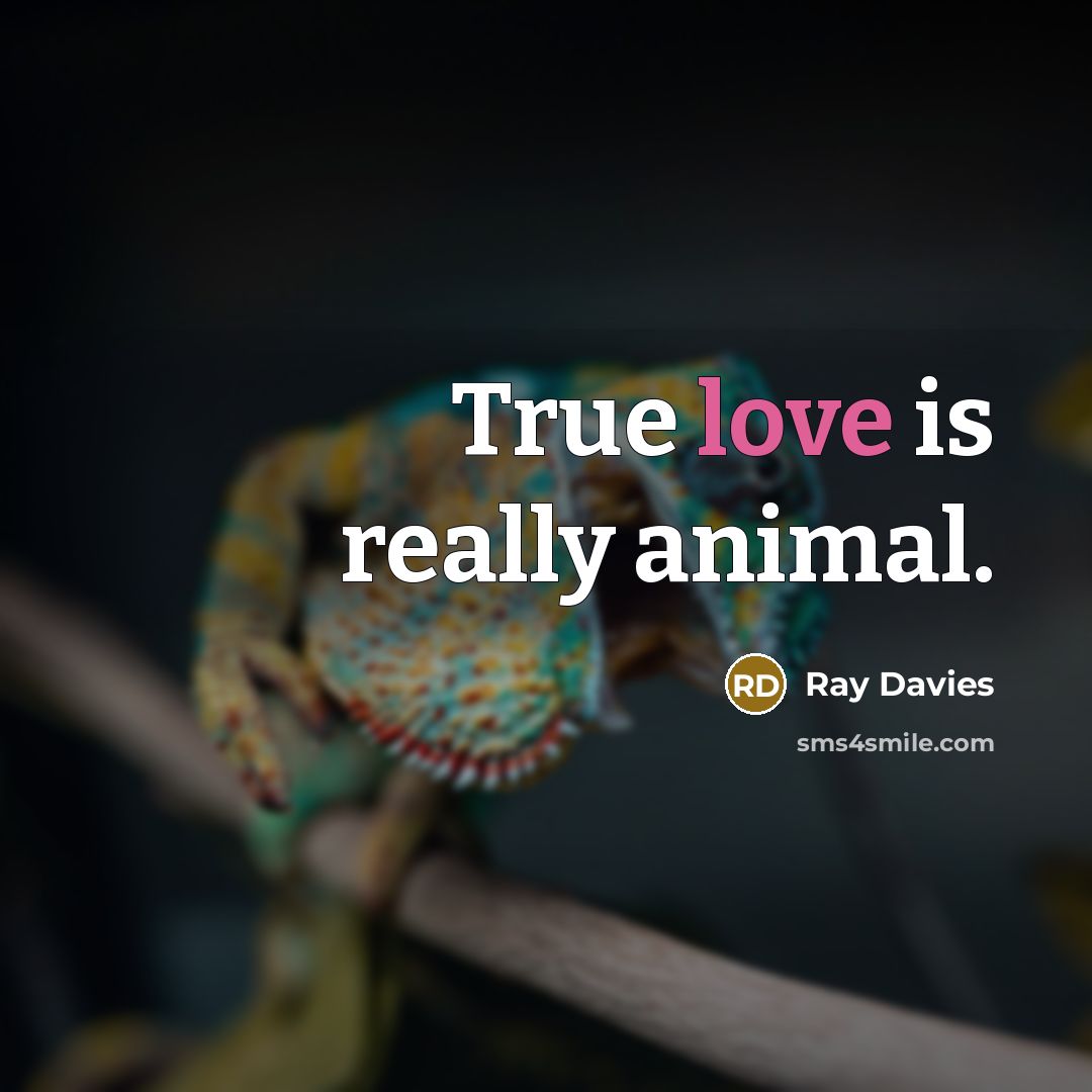 “True love is really animal.…” quote by Ray Davies