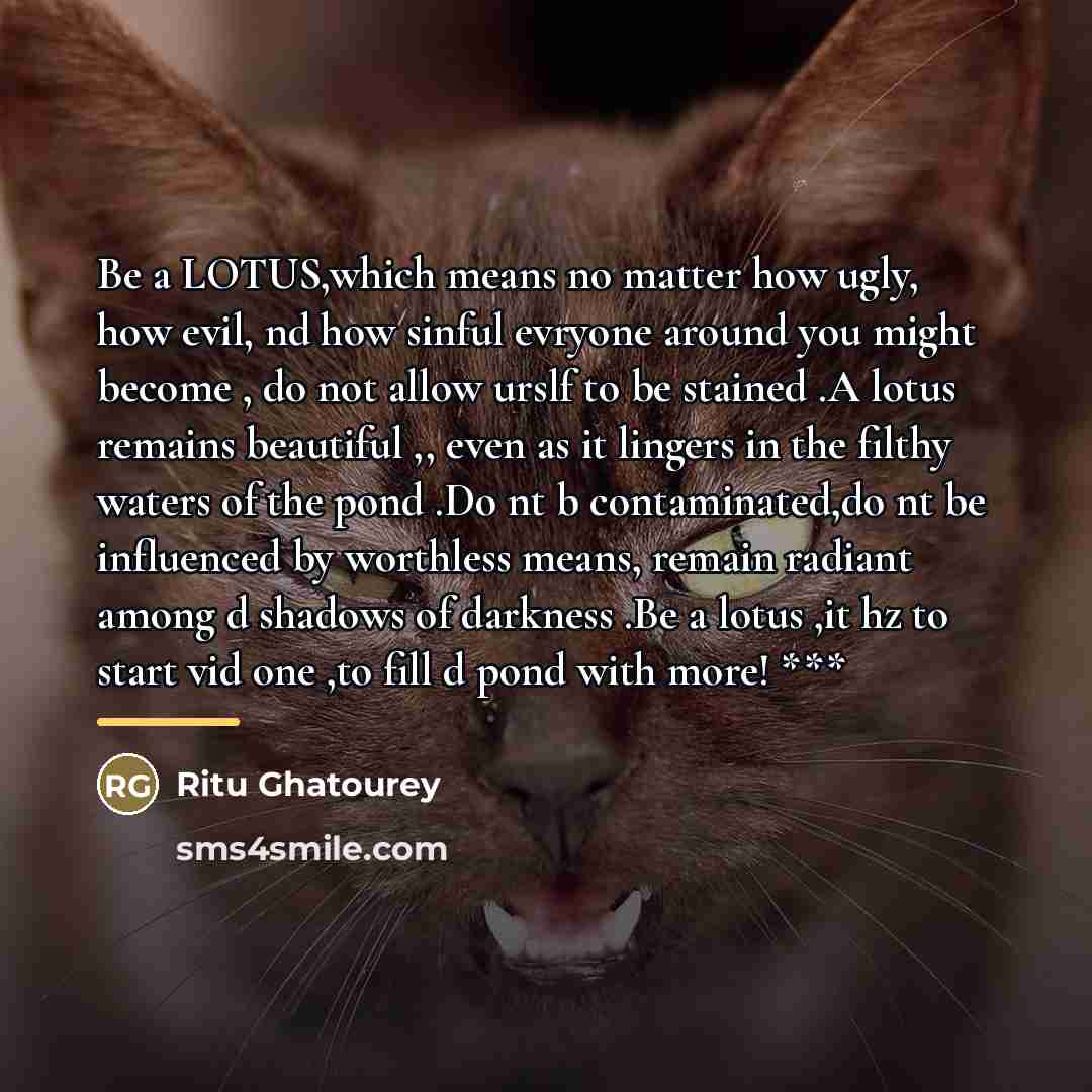 “Be a LOTUS,which means no matter how ugly, how evil,…” quote by Ritu Ghatourey
