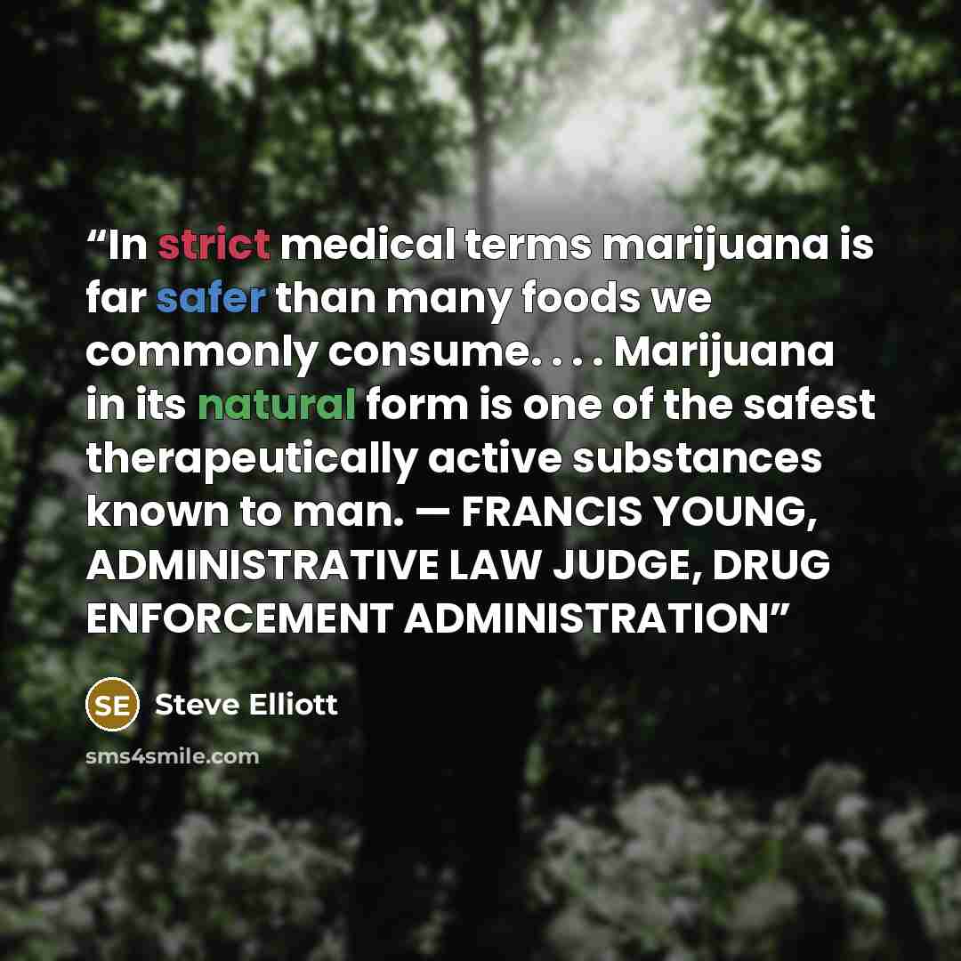 “In strict medical terms marijuana is far safer than many foods we commonly consume. . . . Marijuana in its natural form is one of the safest therapeutically active substances known to man. — FRANCIS YOUNG, ADMINISTRATIVE LAW JUDGE, DRUG ENFORCEMENT ADMINISTRATION” quote by Steve Elliott