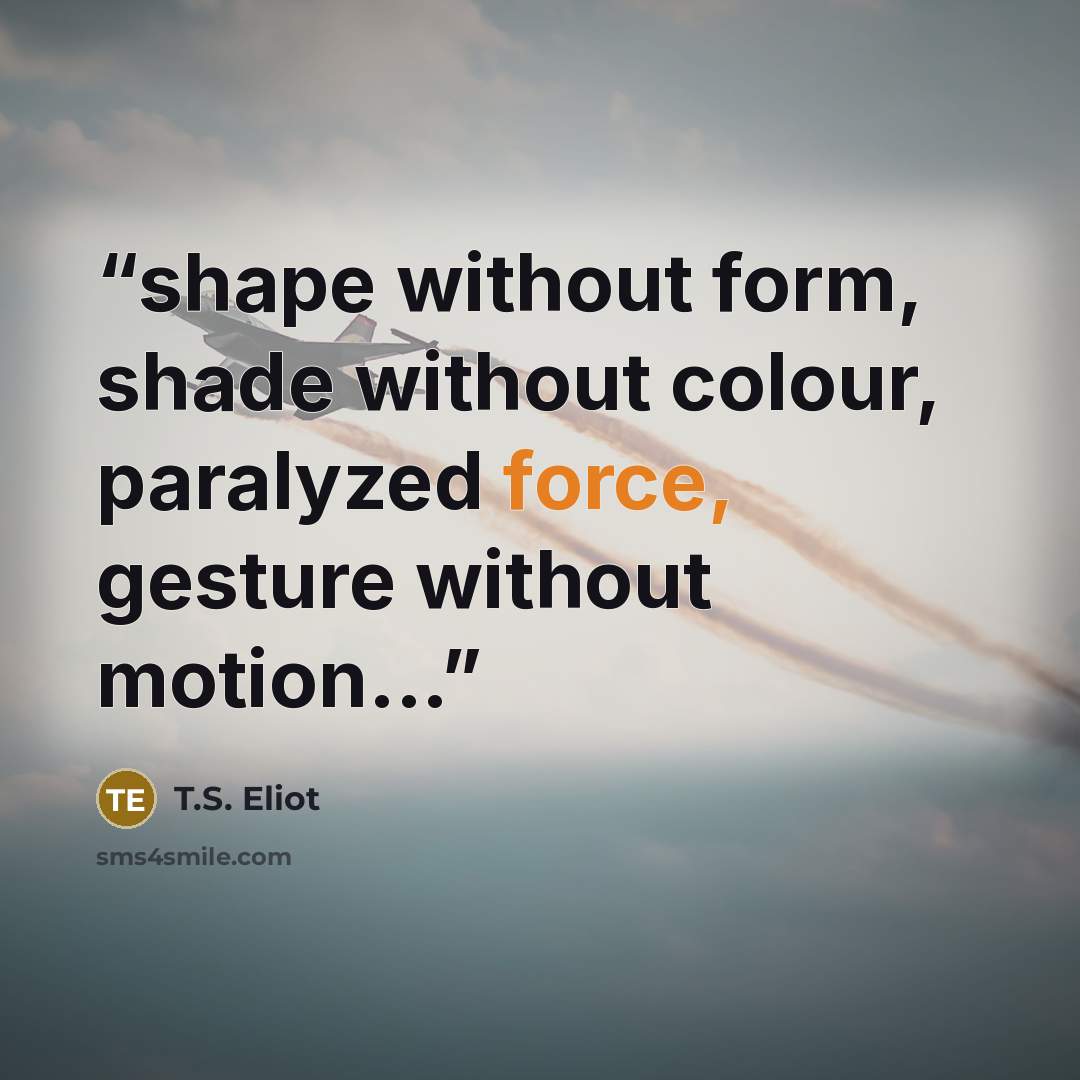 “shape without form, shade without colour, paralyzed force, gesture without motion...” quote by T.S. Eliot
