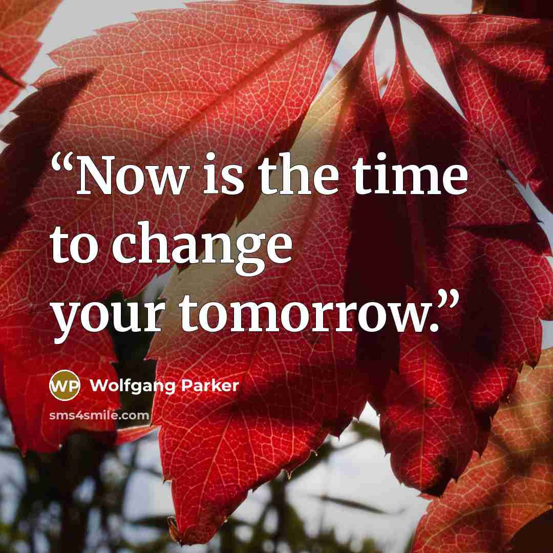“Now is the time to change your tomorrow.” quote by Wolfgang Parker